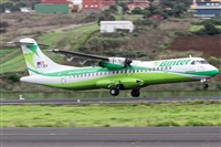 Bartolom Fernndez - Gran Canaria Spotters. Click to see full size photo