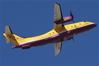 ©Alfonso Solís - Asociación Canary Islands Spotting. Click to see full size photo ©Alfonso Solís - Asociación Canary Islands Spotting. Click to see full size photo
