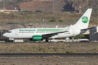 ©Alfonso Solís - Asociación Canary Islands Spotting. Click to see full size photo ©Alfonso Solís - Asociación Canary Islands Spotting. Click to see full size photo