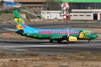 Adrin Alonso Lemes - Lanzarote Spotters. Click to see full size photo