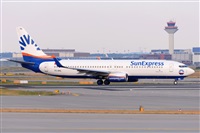 Miguel A. gueda Rguez.  (CANARY ISLANDS SPOTTING). Click to see full size photo