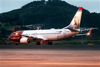Javier de la Cruz - CANARY ISLANDS SPOTTING. Click to see full size photo