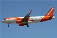 Alfonso Sols - Asociacin Canary Islands Spotting. Click to see full size photo
