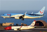 Alejandro H.L - Gran Canaria Spotters. Click to see full size photo