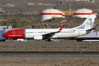 Alfonso Sols - Asociacin Canary Islands Spotting. Haz click para ampliar