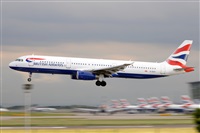 Miguel A. gueda Rguez.  (CANARY ISLANDS SPOTTING). Click to see full size photo