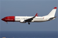 Alfonso Sols - Asociacin Canary Islands Spotting. Haz click para ampliar