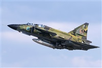 Tams. Click to see full size photo