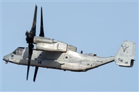 Adolfo Bento - Gran Canaria Spotters. Click to see full size photo