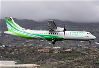 ©Luis Rguez - La Palma Spotting. Click to see full size photo ©Luis Rguez - La Palma Spotting. Click to see full size photo