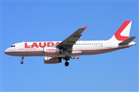 Miguel A. gueda Rguez.  (CANARY ISLANDS SPOTTING). Click to see full size photo