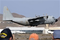 ©Patricio.. Click to see full size photo ©Patricio.. Click to see full size photo