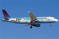 Saimon J Rodriguez   -   Canary Islands Spotting. Haz click para ampliar