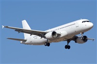 ©Saimon J Rodriguez - Canary Islands Spotting. Click to see full size photo ©Saimon J Rodriguez - Canary Islands Spotting. Click to see full size photo