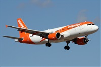 Alfonso Sols - Asociacin Canary Islands Spotting. Click to see full size photo