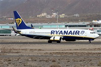 Alfonso Sols - Asociacin Canary Islands Spotting. Click to see full size photo