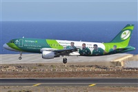 Luciano Fumero( freedom spotter)canary island spotting. Haz click para ampliar