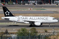 Alfonso Sols - Asociacin Canary Islands Spotting. Haz click para ampliar