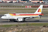 ©Alfonso Solís - Asociación Canary Islands Spotting. Click to see full size photo ©Alfonso Solís - Asociación Canary Islands Spotting. Click to see full size photo