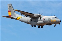 Adolfo Bento - Gran Canaria Spotters. Click to see full size photo