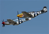 Rod Dermo. Click to see full size photo
