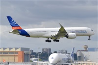 Miguel A. gueda Rguez.  (CANARY ISLANDS SPOTTING). Click to see full size photo