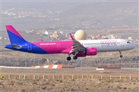 Miguel A. gueda Rguez.  (CANARY ISLANDS SPOTTING). Click to see full size photo