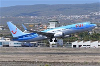 Miguel A. gueda Rguez.  (CANARY ISLANDS SPOTTING). Click to see full size photo