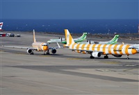 ©Alejandro H.L - Gran Canaria Spotters. Click to see full size photo ©Alejandro H.L - Gran Canaria Spotters. Click to see full size photo