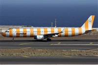 ©Alfonso Solís - Asociación Canary Islands Spotting. Click to see full size photo ©Alfonso Solís - Asociación Canary Islands Spotting. Click to see full size photo