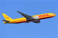 Miguel A. gueda Rguez.  (CANARY ISLANDS SPOTTING). Click to see full size photo