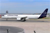 Miguel A. gueda Rguez.  (CANARY ISLANDS SPOTTING). Haz click para ampliar