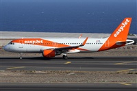 ©Alfonso Solís - Asociación Canary Islands Spotting. Click to see full size photo ©Alfonso Solís - Asociación Canary Islands Spotting. Click to see full size photo