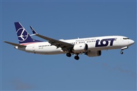 �Alfonso Sol�s - Asociaci�n Canary Islands Spotting. Click to see full size photo