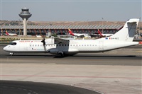 �Alfonso Sol�s - Asociaci�n Canary Islands Spotting. Click to see full size photo