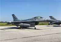 �Rod Dermo. Click to see full size photo