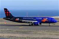 �Miguel A. �gueda Rguez.  (CANARY ISLANDS SPOTTING). Click to see full size photo