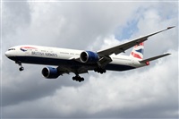 �Alfonso Sol�s - Asociaci�n Canary Islands Spotting. Click to see full size photo