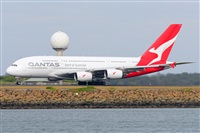 �Miguel A. �gueda Rguez.  (CANARY ISLANDS SPOTTING). Click to see full size photo
