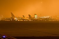 Javier de la Cruz - CANARY ISLANDS SPOTTING. Click to see full size photo