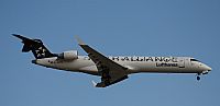 Rubn Gil - Noisy Spotters. Click to see full size photo