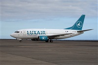 Javier de la Cruz - CANARY ISLANDS SPOTTING. Click to see full size photo