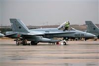 Galo Alcolea - Iberian Spotter / AIRE.ORG. Click to see full size photo