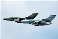Aset Anton. Click to see full size photo