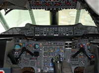Rubn Gil - Noisy Spotters. Click to see full size photo