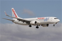 Alfonso Sols - Asociacin Canary Islands Spotting. Click to see full size photo