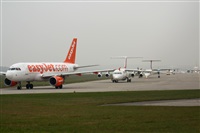 Rodrigo Carvalho - Noisy Spotters. Click to see full size photo