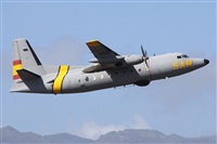 Alfonso Sols - Asociacin Canary Islands Spotting. Click to see full size photo