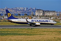 Alvaro Mijares (Seoul Spotting). Click to see full size photo