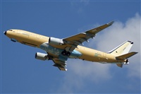 H.volar. Click to see full size photo